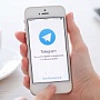 Telegram запустил несколько новых функций Telegram запустил несколько новых функций